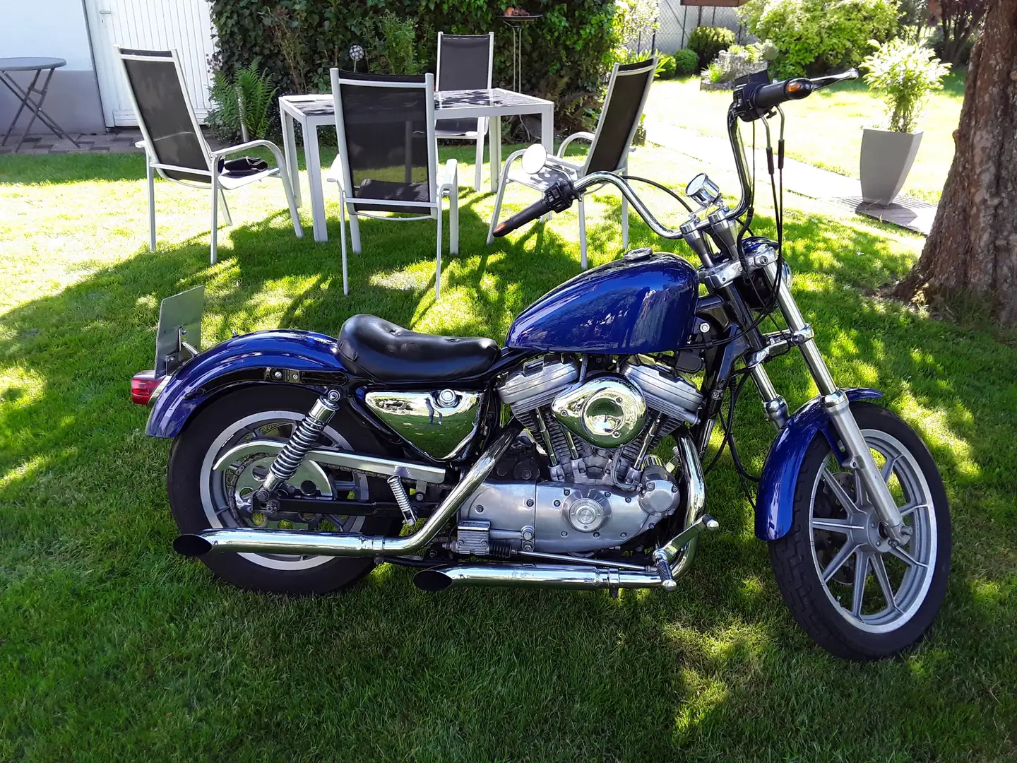 Harley-Davidson Sportster 883 Bleu - 2