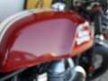 Royal Enfield Continental GT CONTINENTAL GT   650cc Rocket red Rosso - thumbnail 13