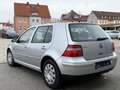 Volkswagen Golf Golf 2.0 Grau - thumbnail 4