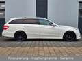 Mercedes-Benz E 500 T 4.7 V8 AMG Paket + 20 Zoll + Distronic! Blanco - thumbnail 2