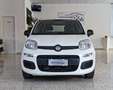 Fiat Panda Panda 1.2 Easy S*IVA DEDUCIBILE Blanc - thumbnail 2