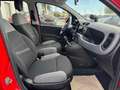 Fiat Panda 1.0 hybrid City Life s&s 70cv 5p.ti Rosso - thumbnail 9