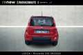 Fiat Panda 1.0 hybrid City Life s&s 70cv 5p.ti Rosso - thumbnail 3