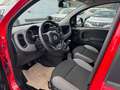Fiat Panda 1.0 hybrid City Life s&s 70cv 5p.ti Rosso - thumbnail 7