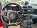 Fiat Panda 1.0 hybrid City Life s&s 70cv 5p.ti Rosso - thumbnail 6
