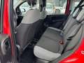 Fiat Panda 1.0 hybrid City Life s&s 70cv 5p.ti Rosso - thumbnail 10