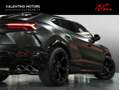 Lamborghini Urus - B&O 3D|ADAS|BicolorSportivo|22|Pano|Mass Gris - thumbnail 23