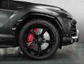 Lamborghini Urus - B&O 3D|ADAS|BicolorSportivo|22|Pano|Mass Gris - thumbnail 24