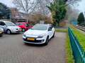 Renault Megane Estate 1.2 TCe Bose Cruise pdc panoramadak trekhaa Weiß - thumbnail 3