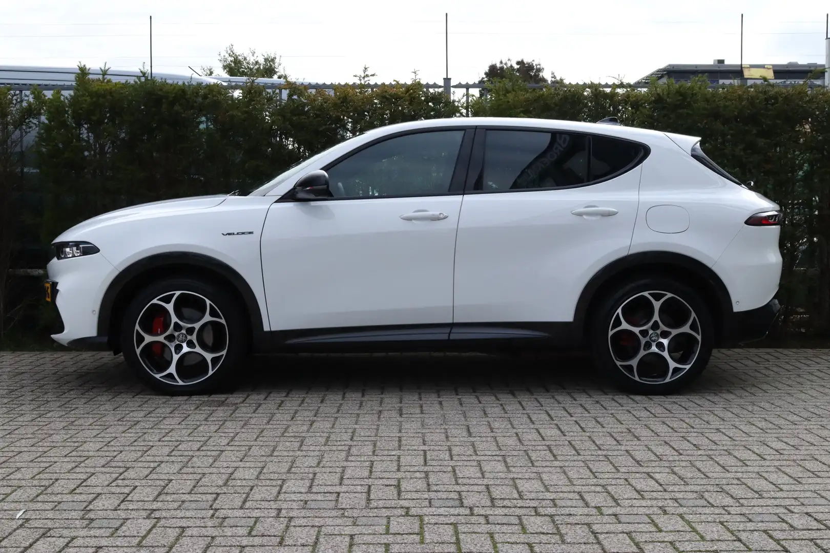 Alfa Romeo Tonale 1.3T PHEV Veloce 360 Camera l Adaptive Cruise Cont Blanc - 2