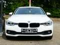 BMW 320 320dA Touring Navi LED Kamera Internet Euro6 Weiß - thumbnail 4