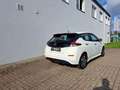 Nissan Leaf 40kWh Acenta*Navi*RFK*PDC* Weiß - thumbnail 4