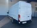 Ford Transit Kasten 2,0 EcoBlue L4H3 350 Trend Weiß - thumbnail 5