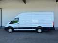Ford Transit Kasten 2,0 EcoBlue L4H3 350 Trend Weiß - thumbnail 7