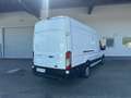 Ford Transit Kasten 2,0 EcoBlue L4H3 350 Trend Weiß - thumbnail 13