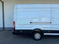 Ford Transit Kasten 2,0 EcoBlue L4H3 350 Trend Weiß - thumbnail 11