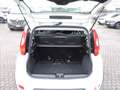 Fiat Panda Panda 1.0 FireFly S&S Hybrid City Cross Bianco - thumbnail 8
