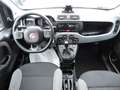 Fiat Panda Panda 1.0 FireFly S&S Hybrid City Cross Bianco - thumbnail 11
