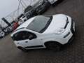 Fiat Panda Panda 1.0 FireFly S&S Hybrid City Cross Bianco - thumbnail 3