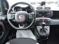 Fiat Panda Panda 1.0 FireFly S&S Hybrid City Cross Bianco - thumbnail 10