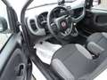Fiat Panda Panda 1.0 FireFly S&S Hybrid City Cross Bianco - thumbnail 12