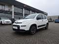 Fiat Panda Panda 1.0 FireFly S&S Hybrid City Cross Bianco - thumbnail 1