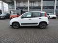 Fiat Panda Panda 1.0 FireFly S&S Hybrid City Cross Bianco - thumbnail 7