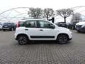 Fiat Panda Panda 1.0 FireFly S&S Hybrid City Cross Bianco - thumbnail 4