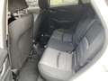 Mazda CX-3 1.5d Exceed 2wd 105cv - thumbnail 14