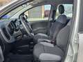 Fiat Panda 1.2 Lounge 69cv Grigio - thumbnail 7