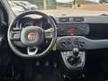 Fiat Panda 1.2 Lounge 69cv Grigio - thumbnail 9