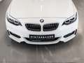 BMW 218 d M-Sport *1 JAHR GARANTIE GRATIS*AHK Weiß - thumbnail 47