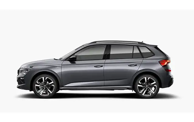 Skoda Kamiq view 3