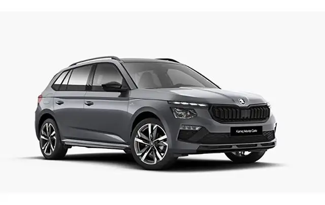 Skoda Kamiq in Grey for sale