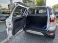 Ford EcoSport 1.0 EcoBoost Titanium S 125pk/92kW | Full Options Zilver - thumbnail 5