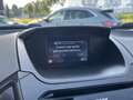 Ford EcoSport 1.0 EcoBoost Titanium S 125pk/92kW | Full Options Zilver - thumbnail 20