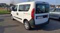 Fiat Doblo Doblo 1.3 mjt  Easy s 5posti - NO VINCOLO FINANZ. Bianco - thumbnail 4
