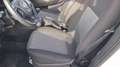 Fiat Doblo Doblo 1.3 mjt  Easy s 5posti - NO VINCOLO FINANZ. Bianco - thumbnail 10