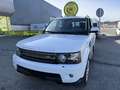 Land Rover Range Rover Sport 3.0SDV6 HSE Aut. Blanco - thumbnail 22