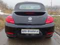 Volkswagen Beetle Cabrio+Winterpaket+ elektrisches Verdeck Schwarz - thumbnail 5