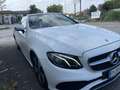 Mercedes-Benz E 220 CabrioBusiness Sport OCCASIONE - thumbnail 3