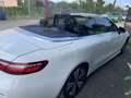 Mercedes-Benz E 220 CabrioBusiness Sport OCCASIONE - thumbnail 4