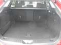 Mazda CX-60 e-SKYACTIV-D 254 AL-HOMURA P-GSD DA-P CON-P PRE-CO Rot - thumbnail 19