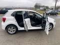 Volkswagen Polo V Match Weiß - thumbnail 9