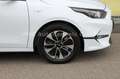 Kia Ceed SW / cee'd SW 1.5 T-GDi  SPIN *Navi*Kamera* Weiß - thumbnail 8