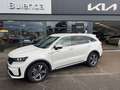 Kia Sorento Platinum 4WD Plug-In Hybrid elektr. AHK Weiß - thumbnail 1