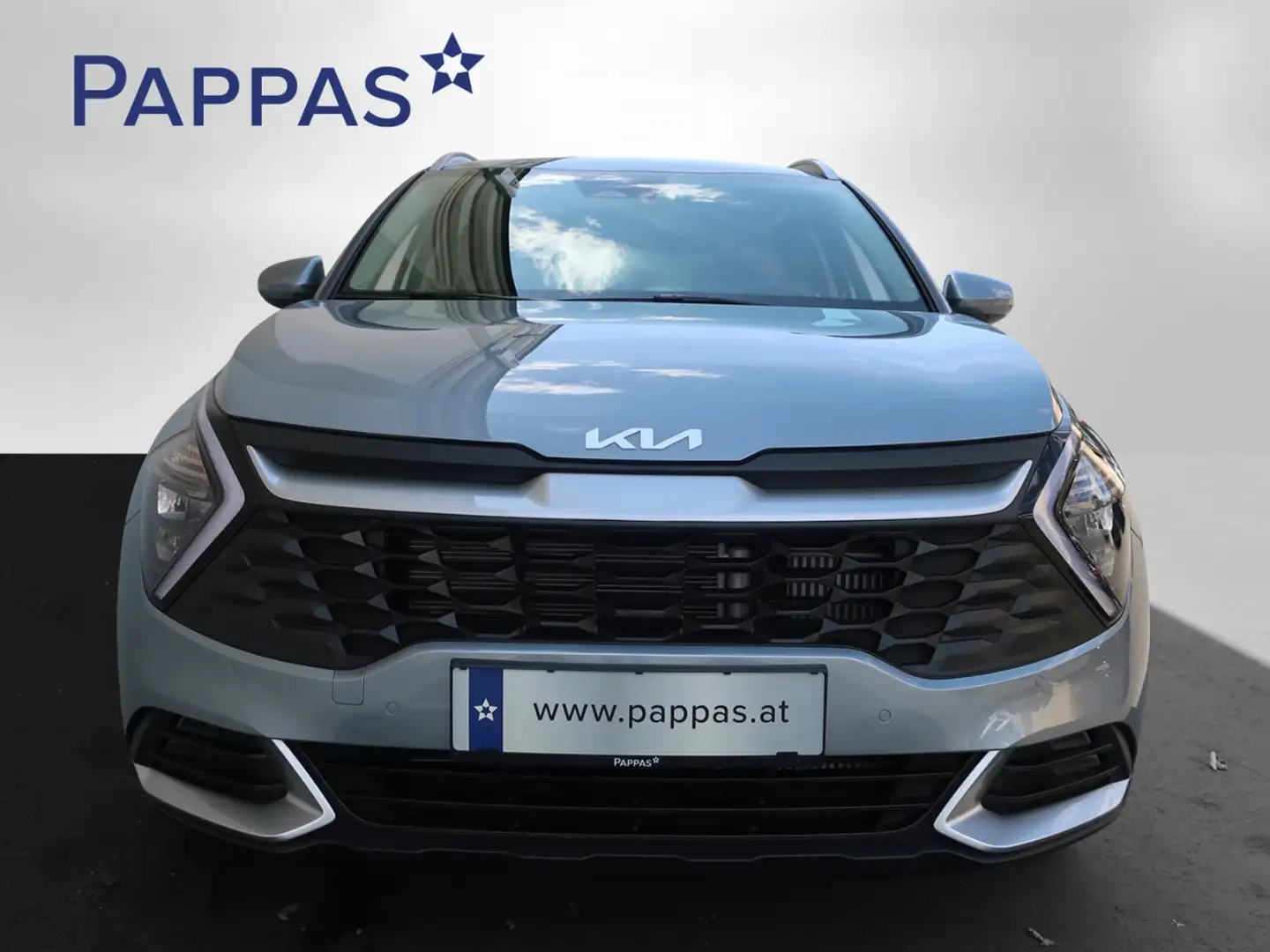 Kia Sportage Silber 1,6 CRDI 136PS AWD MT 6Gang Negro - 2