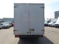 Iveco Daily Geel - thumbnail 5