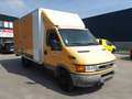 Iveco Daily Geel - thumbnail 3