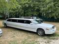 Lincoln Town Car Stretchlimousine Executive Weiß - thumbnail 5